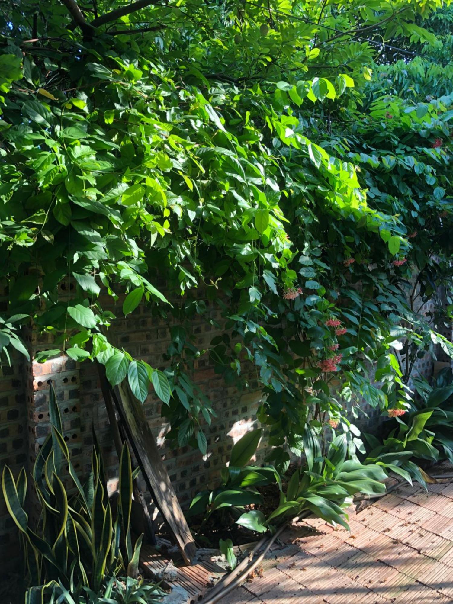 Thuy Xuyen Tam Coc Homestay Vu Lam 外观 照片