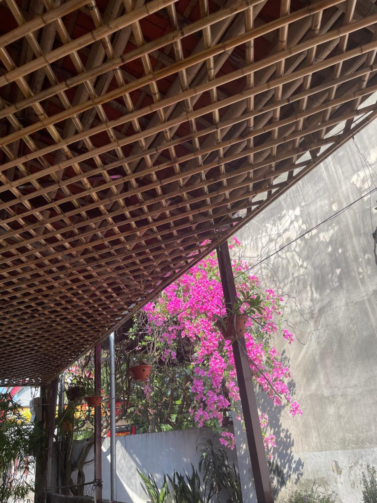 Thuy Xuyen Tam Coc Homestay Vu Lam 外观 照片