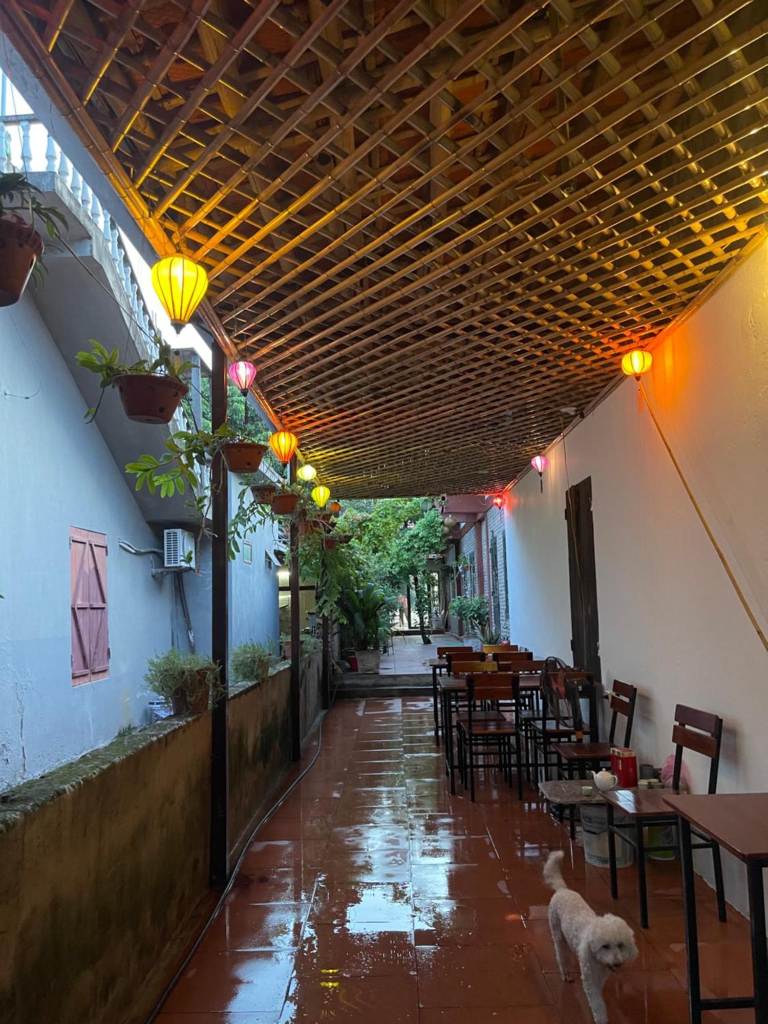 Thuy Xuyen Tam Coc Homestay Vu Lam 外观 照片